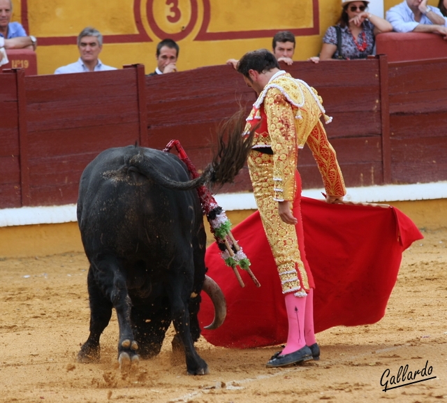 Ponce siempre deja detalles de su toreo.