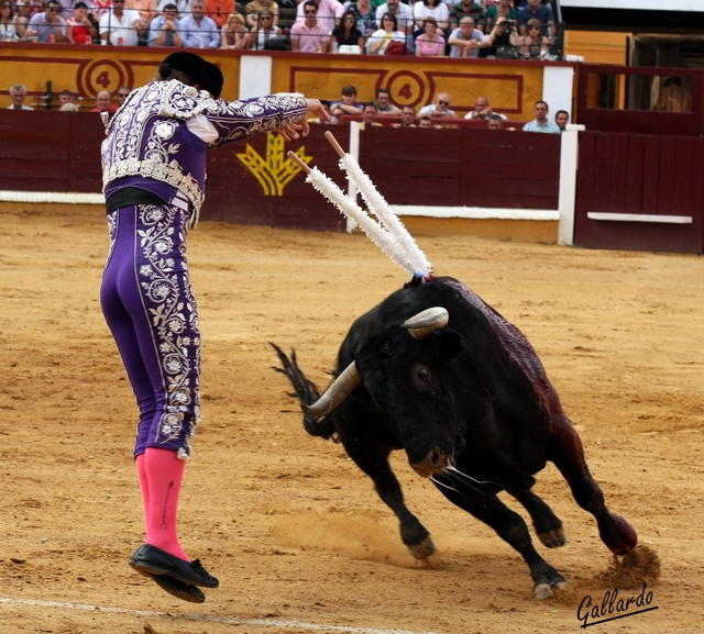 Dejando los palos en todo lo alto. (FOTO: Gallardo)