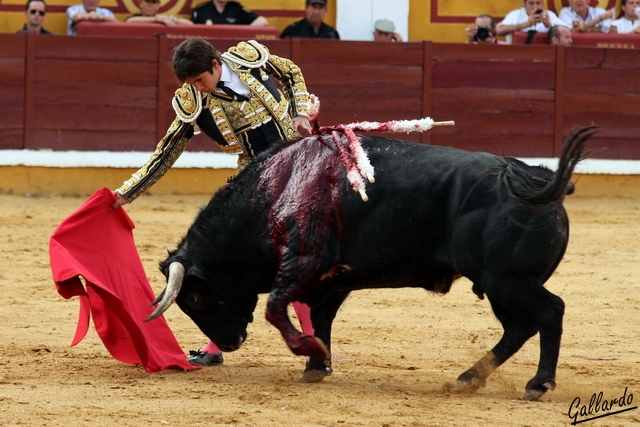 Para tirar del toro en redondo.