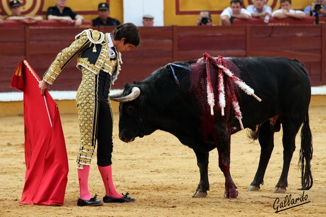 Castella es el máximo exponente del toreo ojedista.