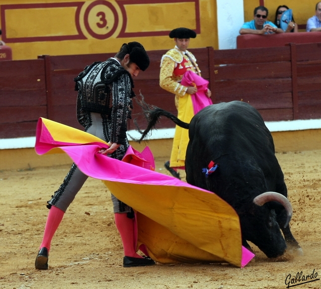 Cayetano maneja con mucho gusto el capote.