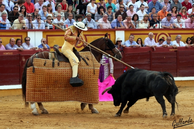 Agarrándose en la yema. (FOTO:Gallardo)