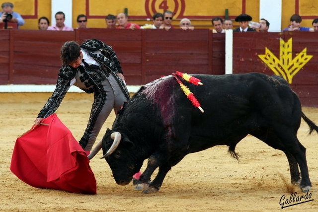 Bajando la mano para someter la embestida.