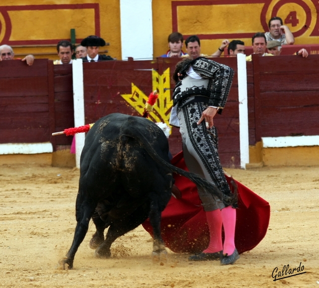 Compostura y estética en el muletazo.