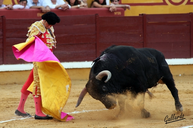 Ponce y su gusto por la estética.