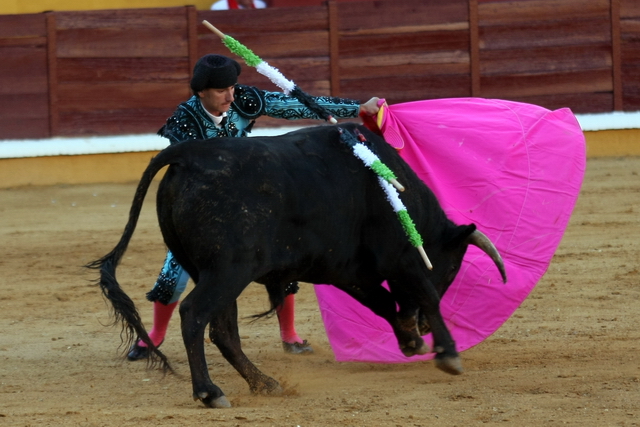 Ismael Jiménez en la brega. (FOTO: Gallardo)