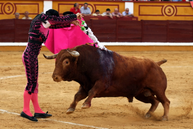 Javier Ambel apoyádose en los palos. (FOTO: Gallardo)