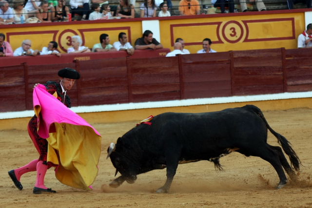 Jesús Talaván colocando en suerte al eral. (FOTO: Gallardo)