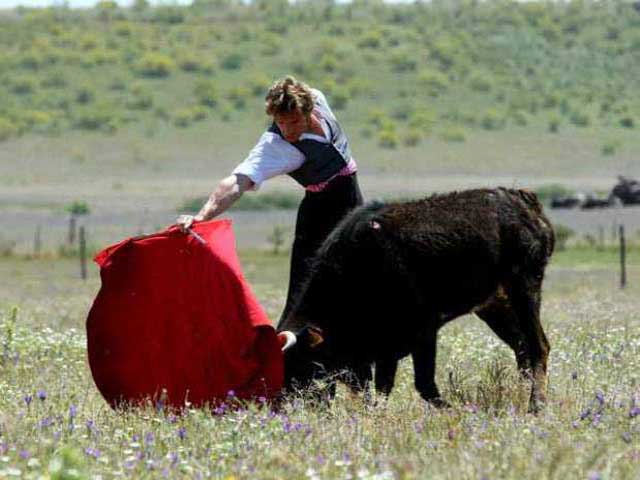 Demostrando un gran tranco en la embestida.