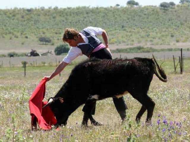 Como se observa en este monumental muletazo.