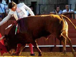 Manuel Larios el pasado mayo en La Maestranza. (FOTO: Matito)