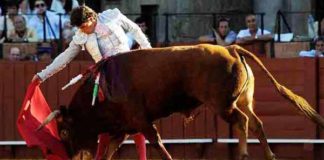 Manuel Larios el pasado mayo en La Maestranza. (FOTO: Matito)