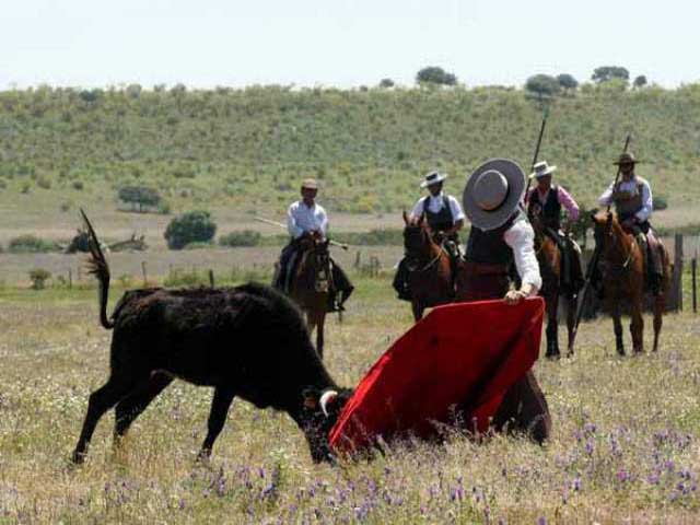 Que disfrutó en el marco incomparable de la dehesa.