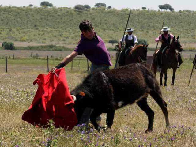 Por eso Fernando González se estiró con la muleta.