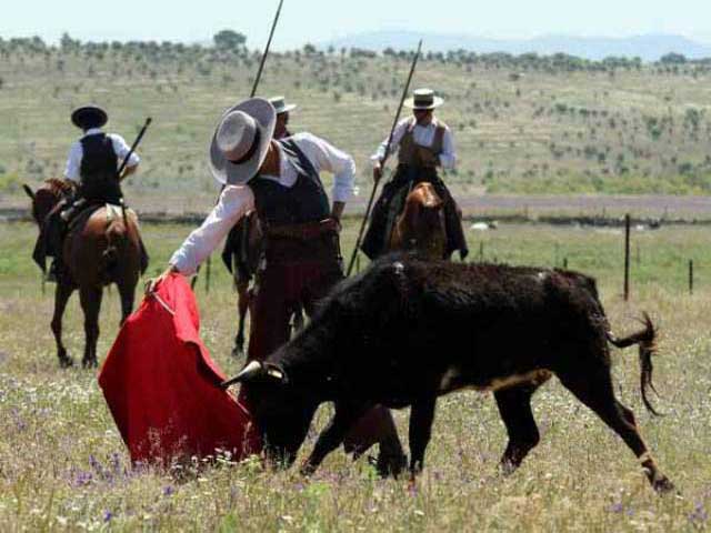 Estampa de bravura. Hombre, caballo y toro.