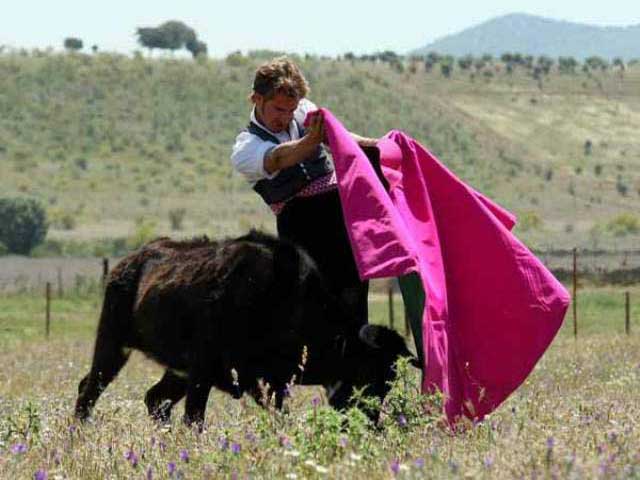 Después del caballo, toca quitarla con el capote.