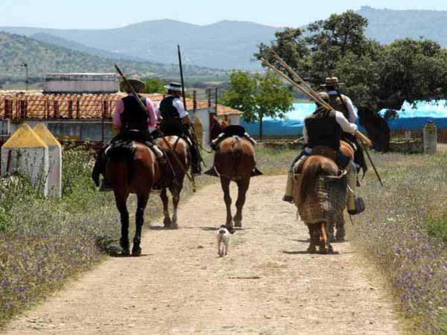 De vuelta al cortijo los recuerdos se agolpan en las monturas.