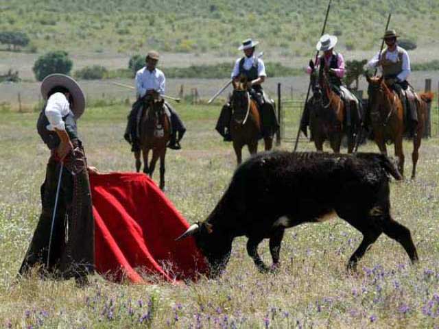 Gustándose al natural con las garrochas por testigo.