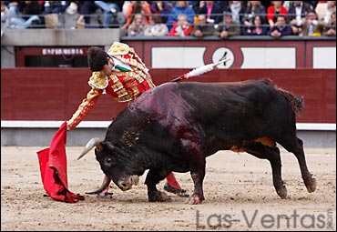 Así de bien toreó esta tarde Talavante en Madrid. (FOTO: Las-Ventas.com)