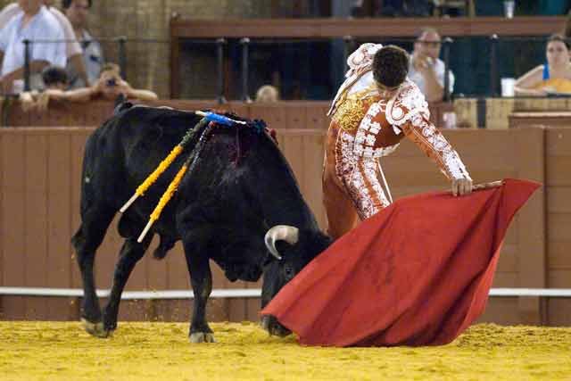 Rafael Cerro majestuoso al natural. (FOTO: sevillataurina.com)