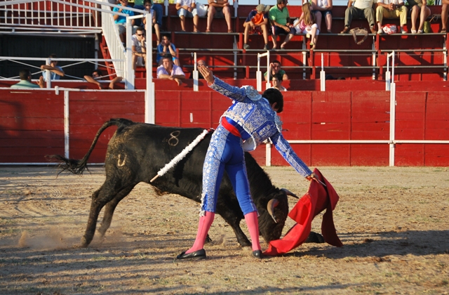 Tomás Angulo llevando toreado al eral.