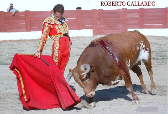 Figura erguida, muñeca relajada...toreo del bueno.