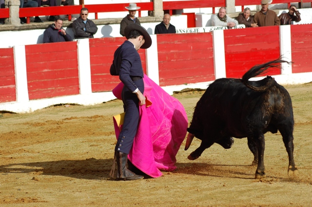 Lanceando a la verónica en un festival. (FOTO: José Ledesma)