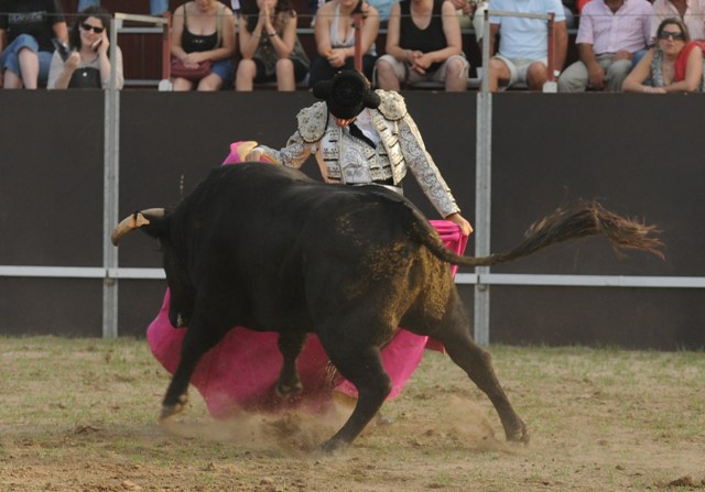 El vuelo del capote marca el trazo de la chicuelina. 