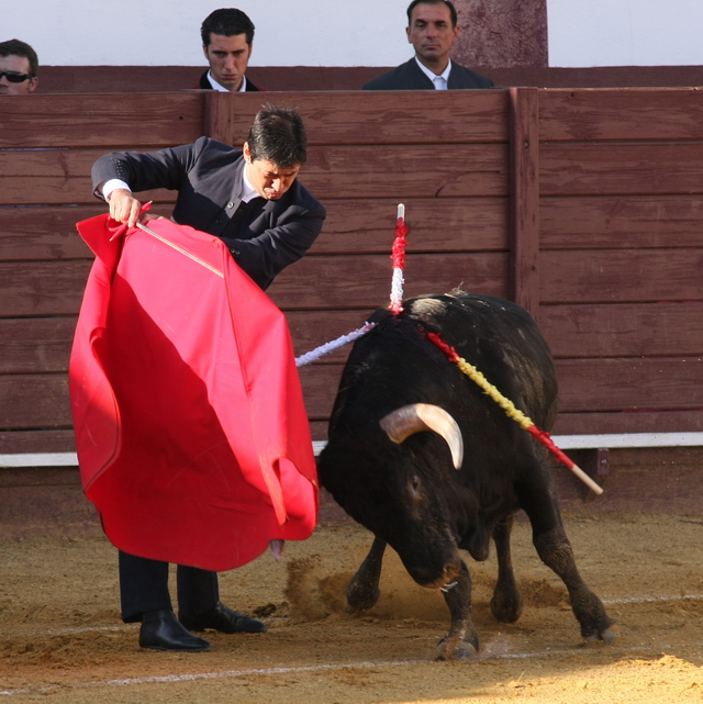 Vicente Barrera abrió plaza con un soso novillo de Valdeterrazos.