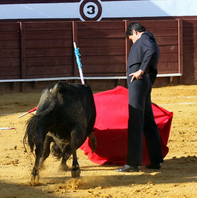 Toreo vertical made in Barrera. (FOTO: Gallardo)