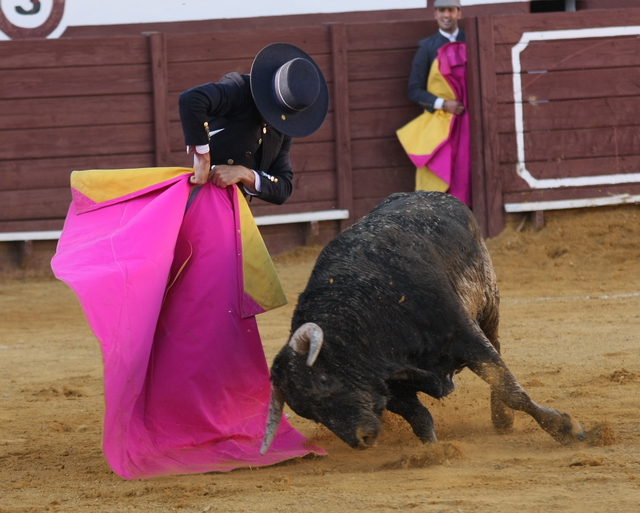 Como en esta media cargando la suerte.