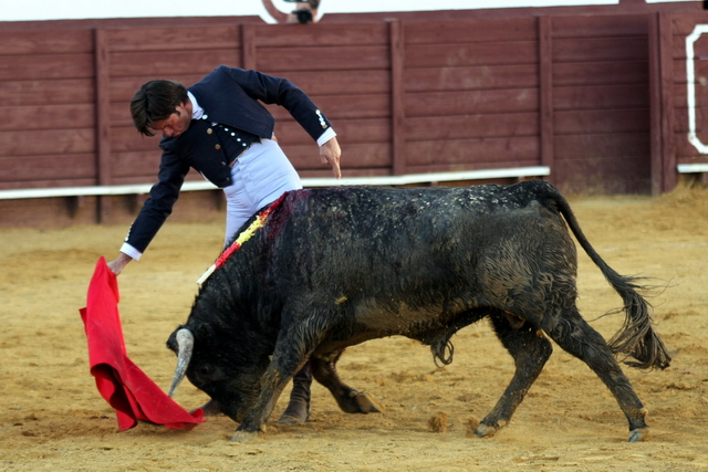 Muletazo largo con la derecha.