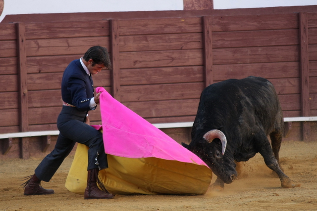 Palomo Linares abriéndose de capa.