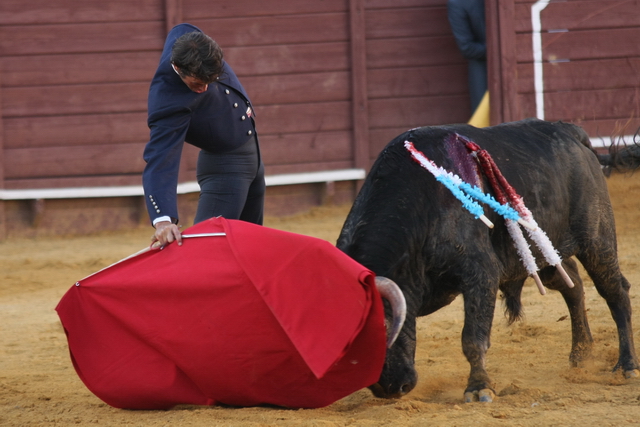 Derechazo de calidad de Palomo Linares hijo (FOTO: Gallardo)