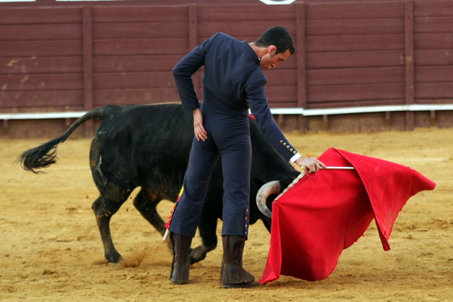 A media altura por la falta de fuerzas.