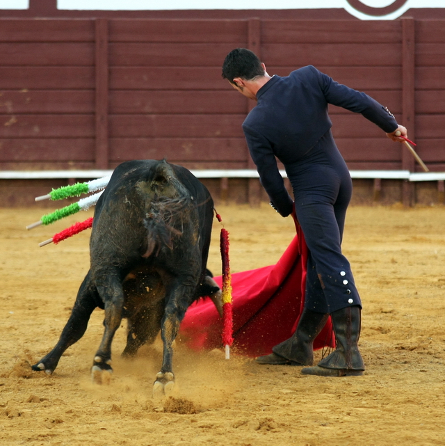 El Pilo gustándose en una trincherilla. (FOTO: Gallardo)