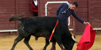 El Pilo esta tarde en Cabeza la Vaca. (FOTO: Gallardo)