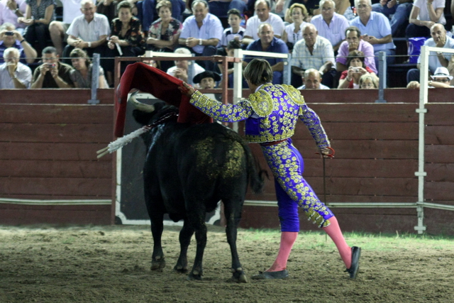 El de pecho, de pitón a rabo.