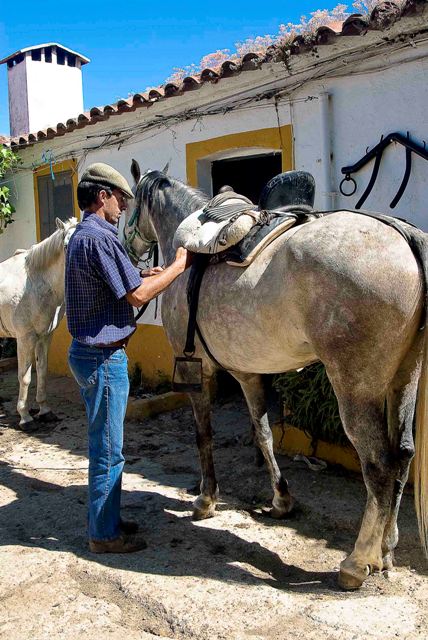 Hay que preparar las cabalgaduras.