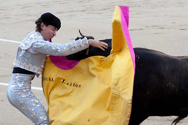 Momento en que el novillo cornea a Manuel Larios (FOTO: Juan Pelegrín/Las-Ventas.com)