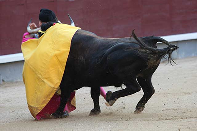 FOTO: Iván de Andrés (burladero.com)