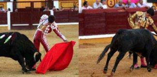 Rafael Cerro y J.M.Garrido en acción. (FOTO:Gallardo)