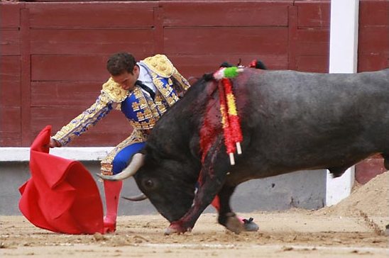 Ferrera doblándose por bajo con un toro de Victorino. (FOTO: Juan Pelegrín/Las-Ventas.com)