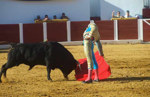 Con la muleta una vez más estuvo poderoso como en este derechazo.