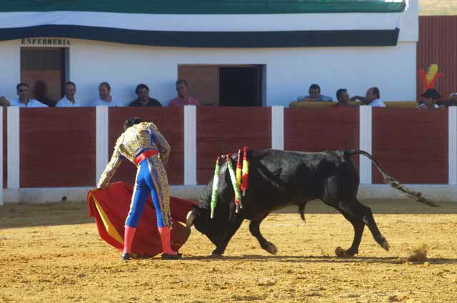 Como se puede apreciar también en esta imagen .