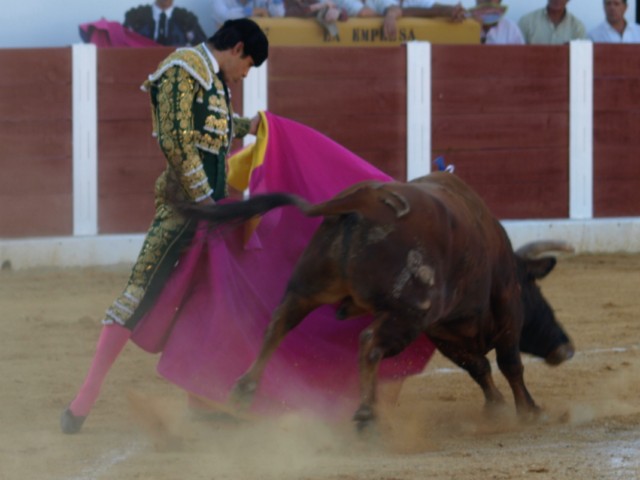 Miguel Ángel meciendo el capote a la verónica.