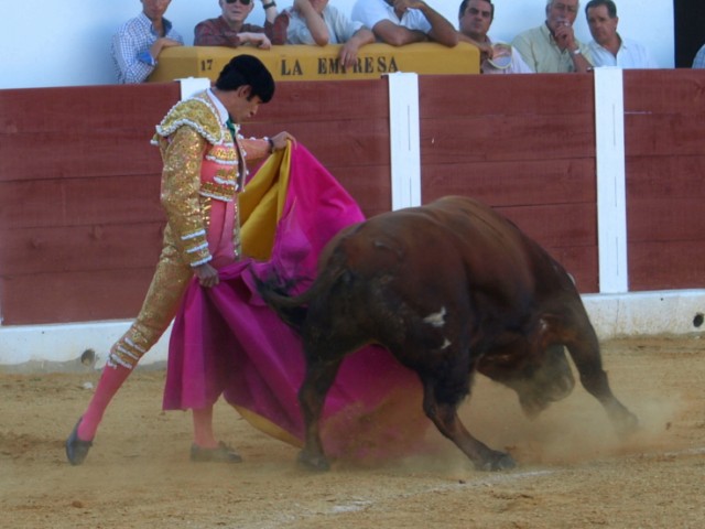 Suavidad en el lance por verónicas para recoger la brusquedad del toro.