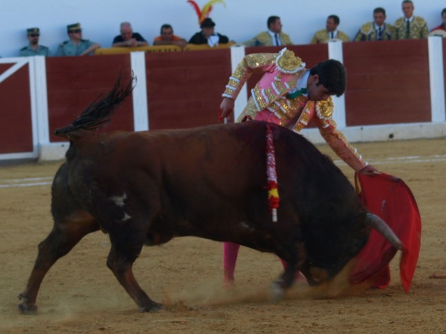 La prodigiosa zurda de Talavante invitando al toro a seguir la muleta.