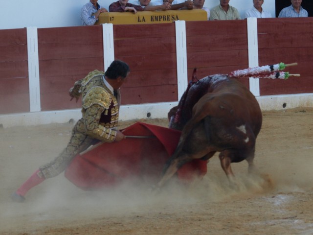 Estampa antigua, toreo de siempre, Victor Mendes doblándose con el toro.