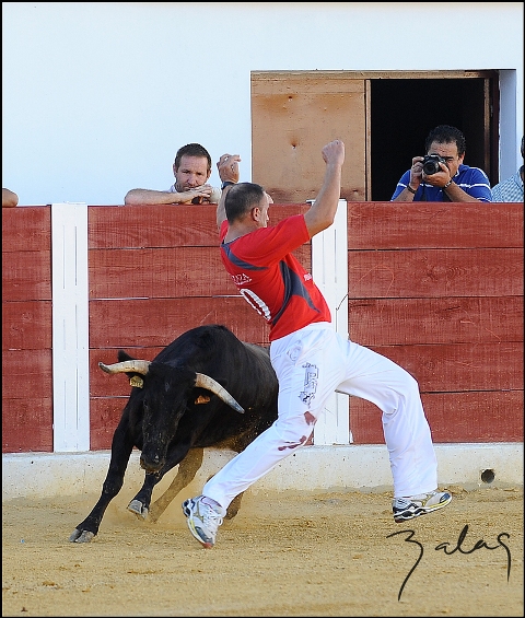 La cintura manda al recortar a la res.